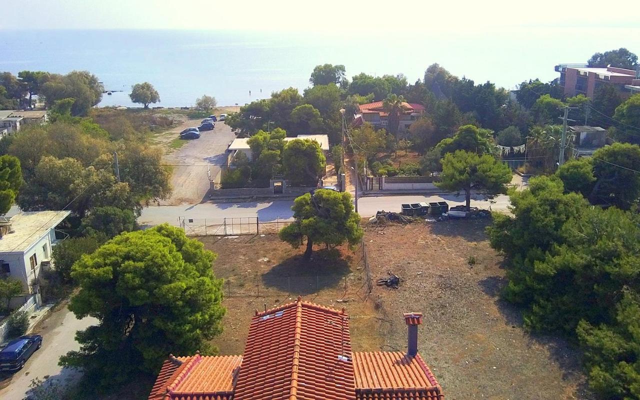 Augoustinos - Sea Side Luxury * Artemida (Attica)